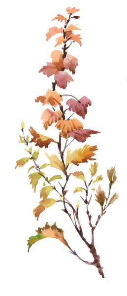 Acuarela hojas de otoño — Vector de stock