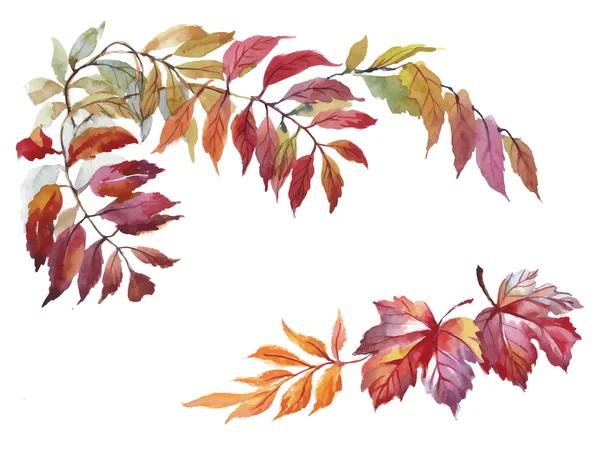 Watercolor autumn leaves — Stock Vector