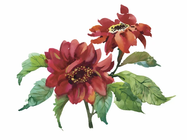 Rode wilde aquarel bloemen — Stockvector