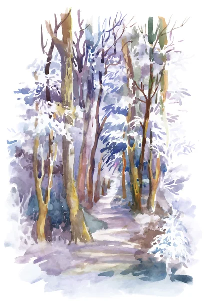 Winterwald mit Bäumen — Stockvektor