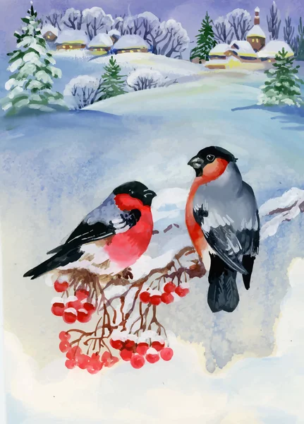 Gimpel Vögel auf schneebedeckten Zweigen. Aquarellillustration — Stockvektor