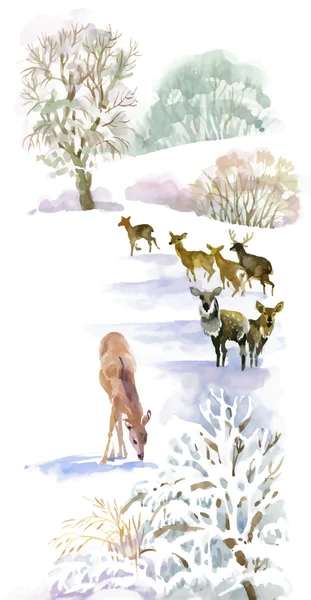 Акварельний зимовий пейзаж з оленями . — стоковий вектор
