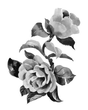 Gül çiçek el çekilmiş