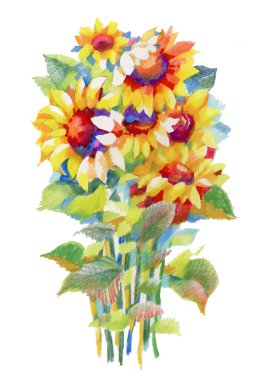 güzel ayçiçeği suluboya çizim çiçek.