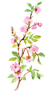 Bitkisel çiçek el çekilmiş