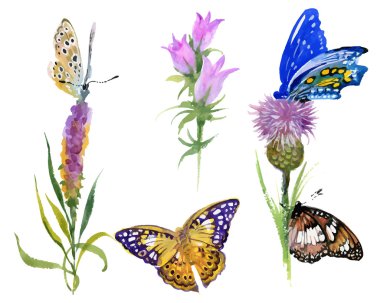 yabani çiçekler ve kelebekler küme 