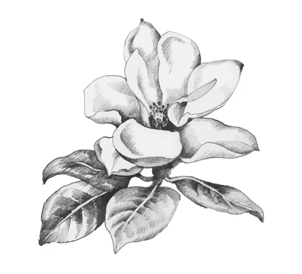 Hermosa flor monocromática — Archivo Imágenes Vectoriales