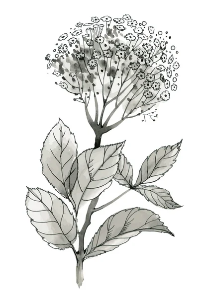 Bellissimo fiore monocromatico — Vettoriale Stock