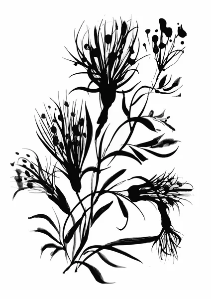 Beautiful monochrome herbs — Stock Vector