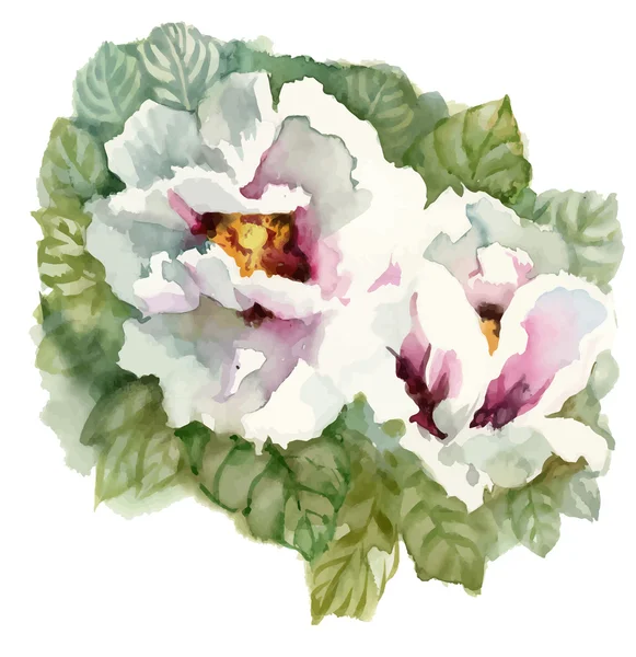 Akvarel kvetoucí květiny — Stockový vektor