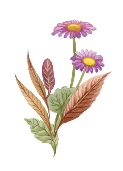 Aquarel bloeiende kamille bloemen illustratie — Stockvector