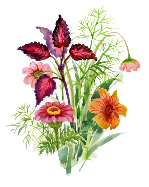 Bloei van tuin bloemen — Stockvector