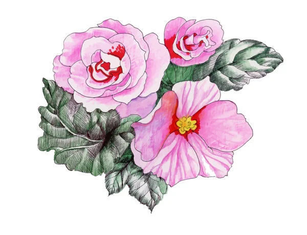 Aquarel bloemen illustratie van het bloeiende roze rozen — Stockvector