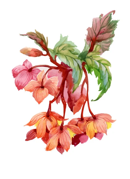 Цветущие акварелью цветы — стоковый вектор