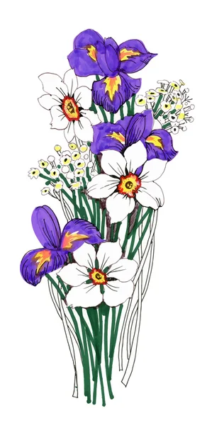 Painted bouquet of narcissuses and irises flowers on white background — Stock Vector