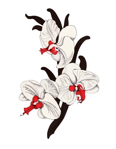Bemalter Strauß von Garten-Orchideenblumen auf weißem Hintergrund. — Stockvektor