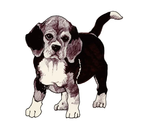 Getekende hond Puppy hondje hand getekende illustratie. — Stockvector