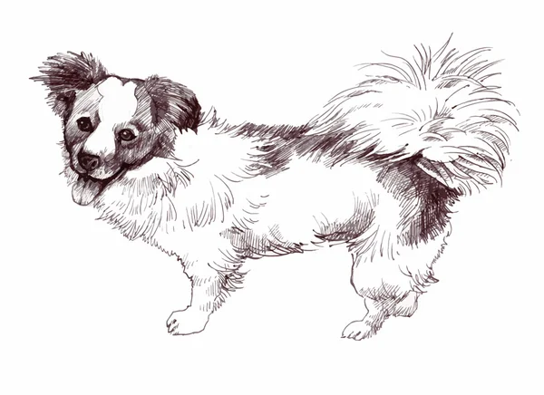 Getekende Puppy hond — Stockvector