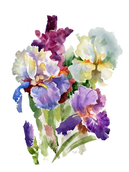 Akvarell blommande iris blommor — Stock vektor