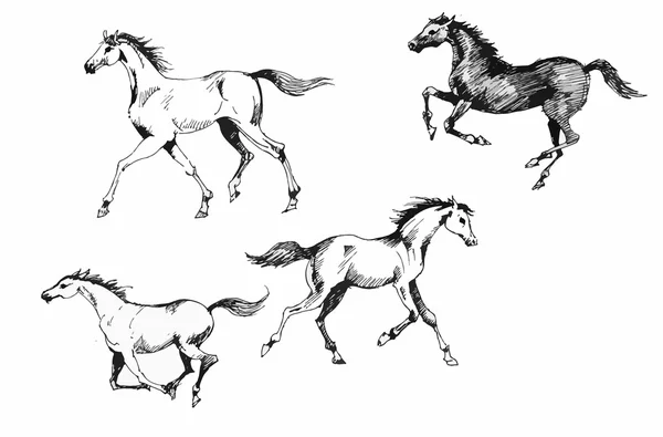 Hästar kollektion vintage illustration. — Stock vektor