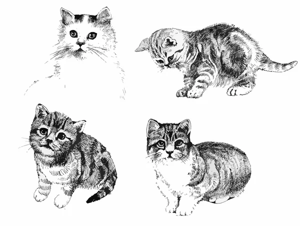 Черно-белые кошки и котята чернильные ручные рисунки — стоковый вектор