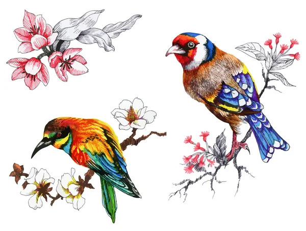 Ljusa fåglar på grenar med blommor — Stock vektor
