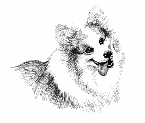 강아지 개 손으로 그려진된 그림 스케치. — 스톡 벡터