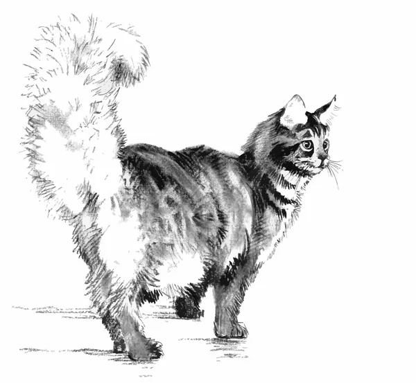 Чорно-білий кіт — стоковий вектор