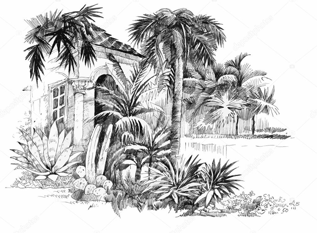 Premium Vector  Seamless horizontal tropical background hand drawn palm  trees sketch exotic tropic jungle leaves and paradise palm tree wallpaper  illustration