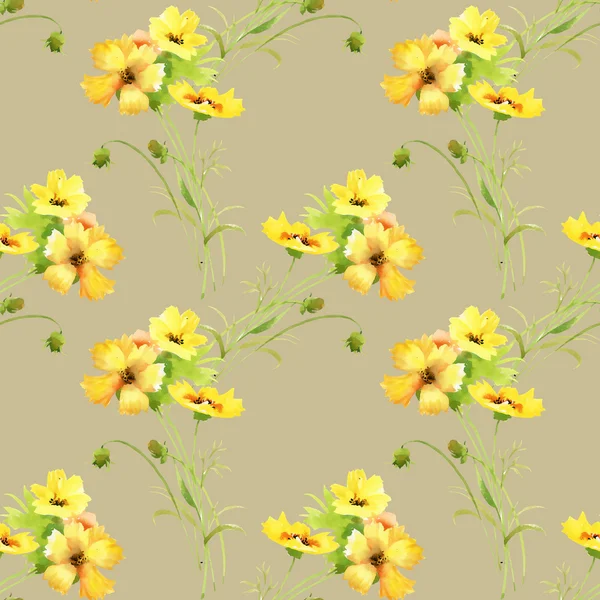 Pattern with beautiful yellow summer flowers — Stock Photo, Image