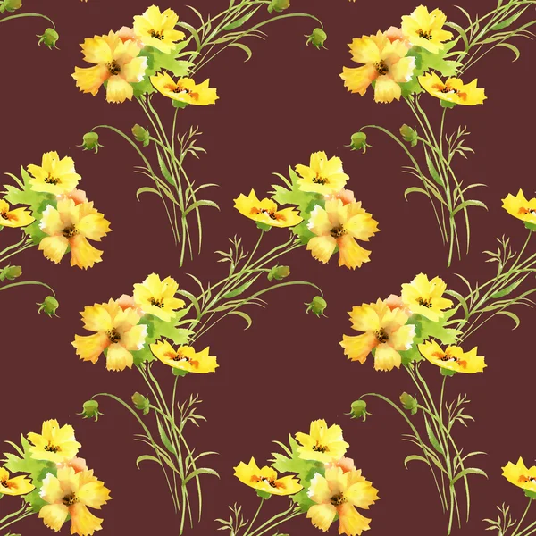 Μοτίβο με όμορφα κίτρινα άνθη το καλοκαίρι — Φωτογραφία Αρχείου