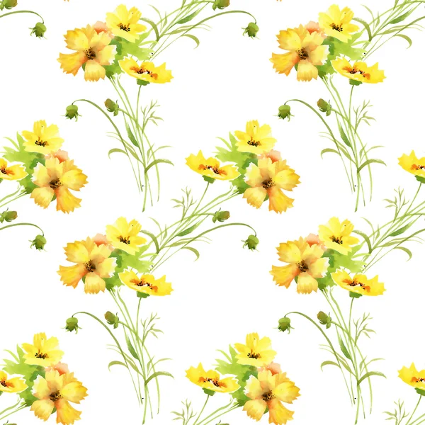 Pattern with beautiful yellow summer flowers — Stock Photo, Image