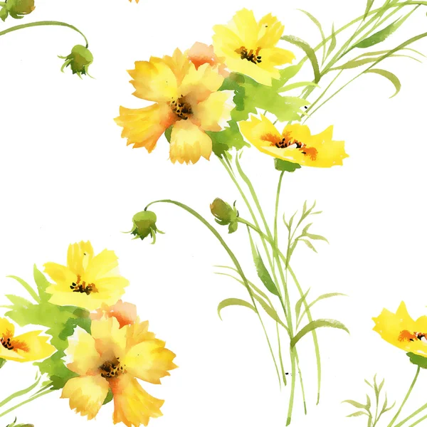 Patroon met mooie gele zomerbloemen — Stockfoto