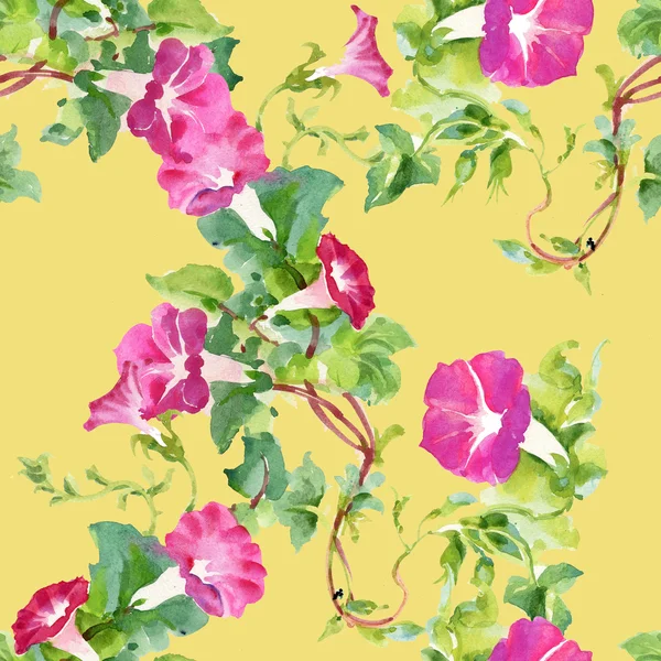 Blumenmuster mit Sommerblumen im Garten — Stockfoto