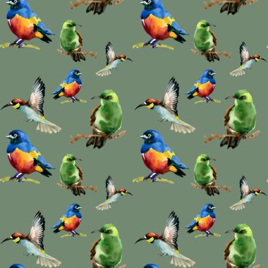 Dalları desen yabani egzotik kuşlar