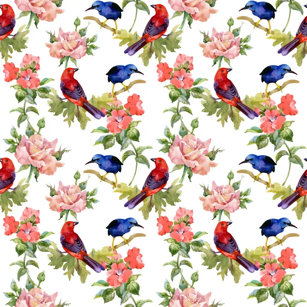 Pattern with exotic birds with beautiful flowers — Stock Photo, Image