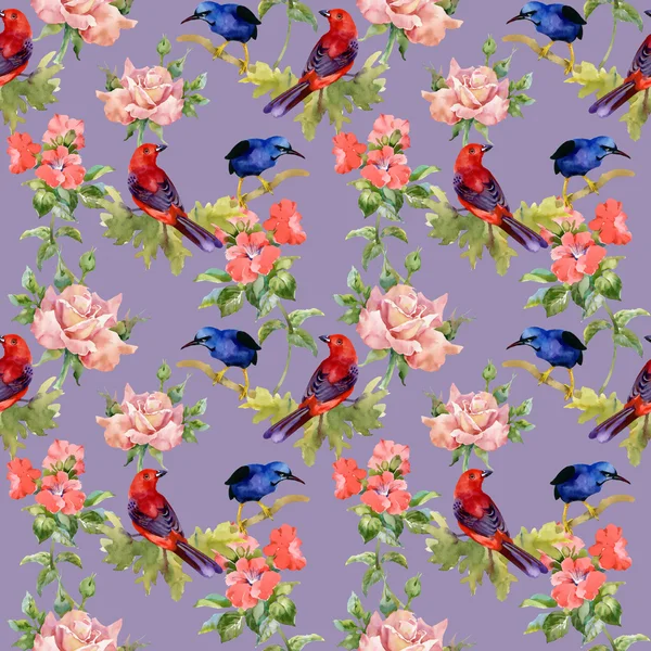 Pattern with exotic birds with beautiful flowers — Stock Photo, Image