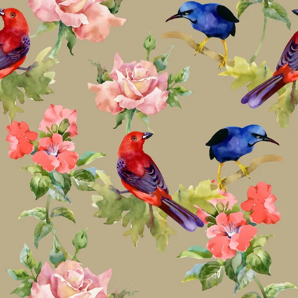 Wzór z egzotycznych ptaków z pięknymi kwiatami — Zdjęcie stockowe