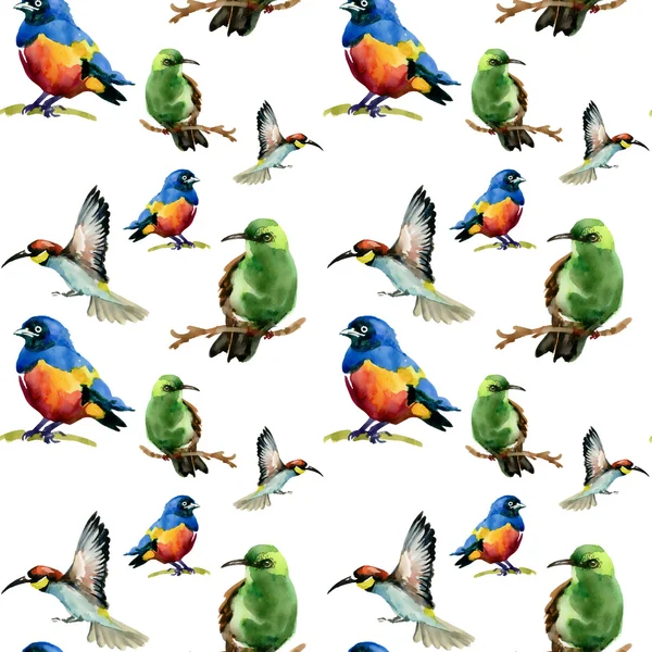 Wild exotic birds on branches pattern — Stock Photo, Image