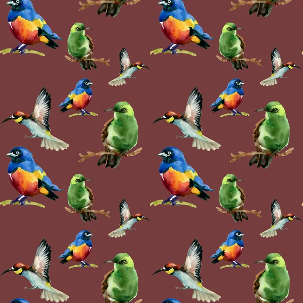 Wild exotic birds on branches pattern — Stock Photo, Image