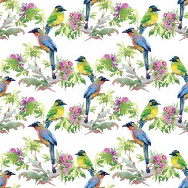 tropikal yaz çiçek ve egzotik kuşlar