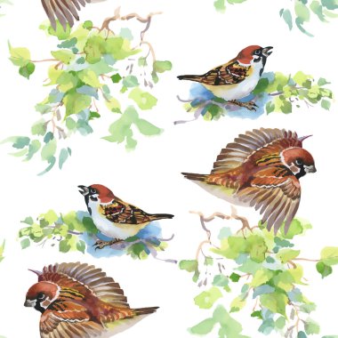 Egzotik kuşlar ile Seamless Modeli