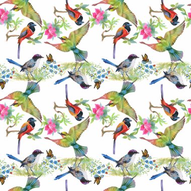 tropikal yaz çiçek ve egzotik kuşlar