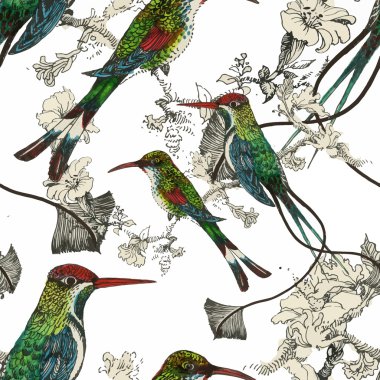 Egzotik kuşlar ile Seamless Modeli