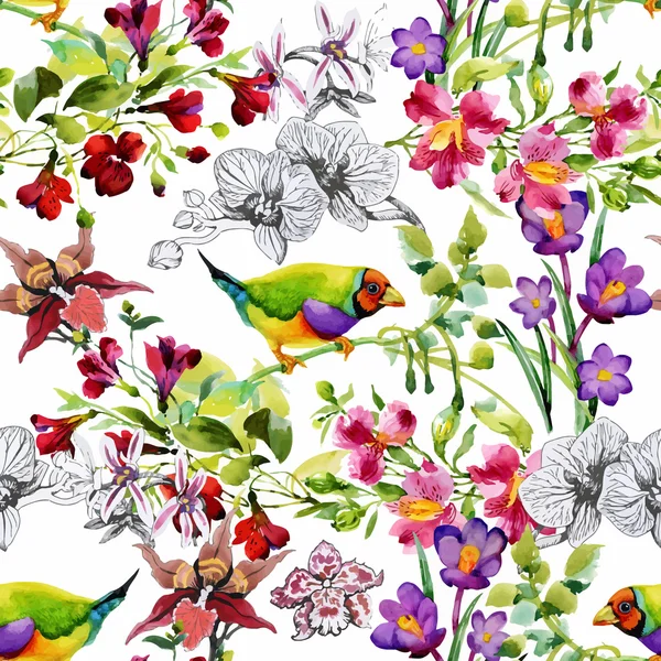 Flores tropicales de verano y aves exóticas — Archivo Imágenes Vectoriales
