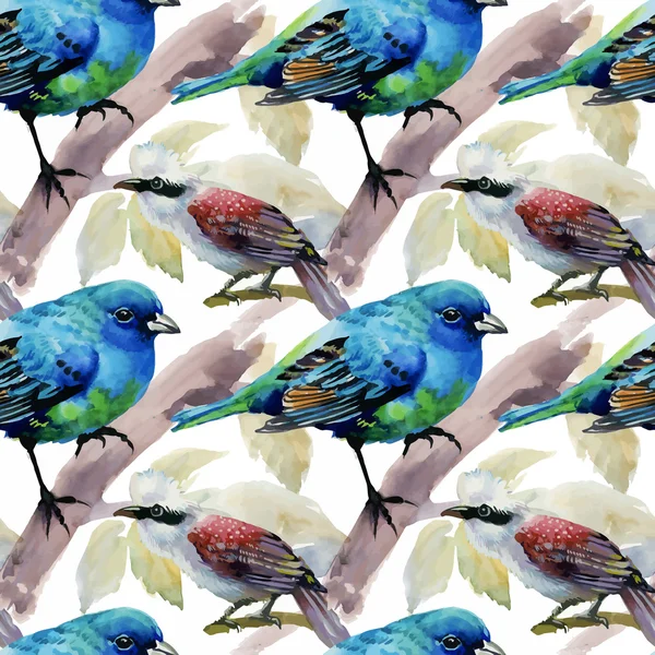 Varrat nélküli mintát Egzotikus madarak — Stock Vector