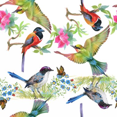 tropikal yaz çiçek ve egzotik kuşlar