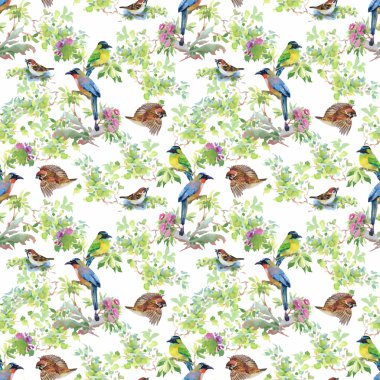 tropikal yaz çiçek ve egzotik kuşlar