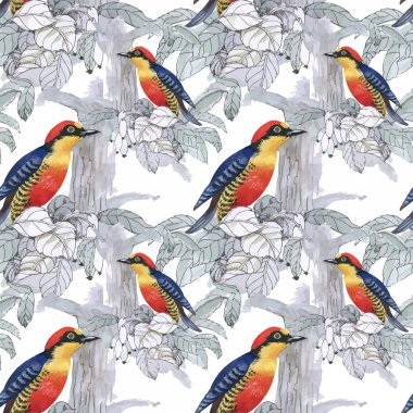 tropikal yaz çiçek ve egzotik kuşlar