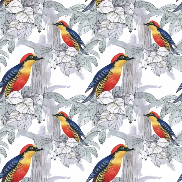 Flores tropicales de verano y aves exóticas — Vector de stock